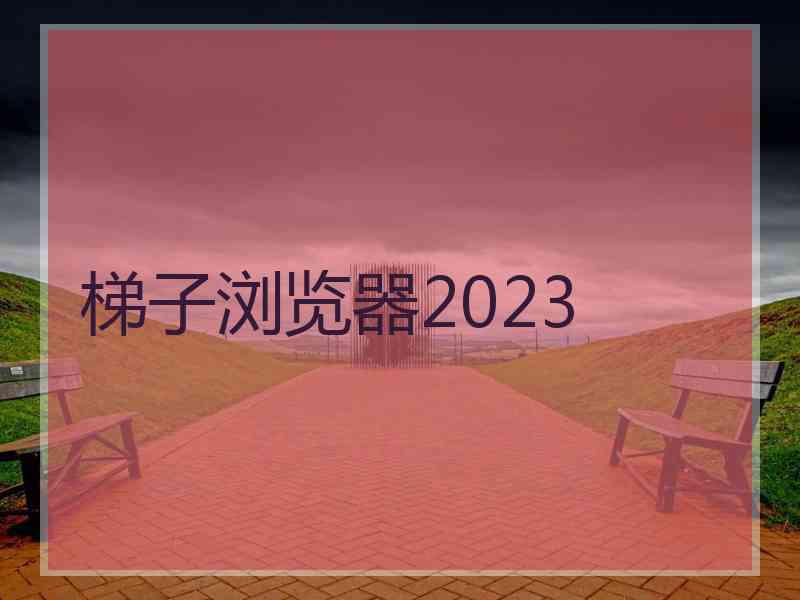 梯子浏览器2023