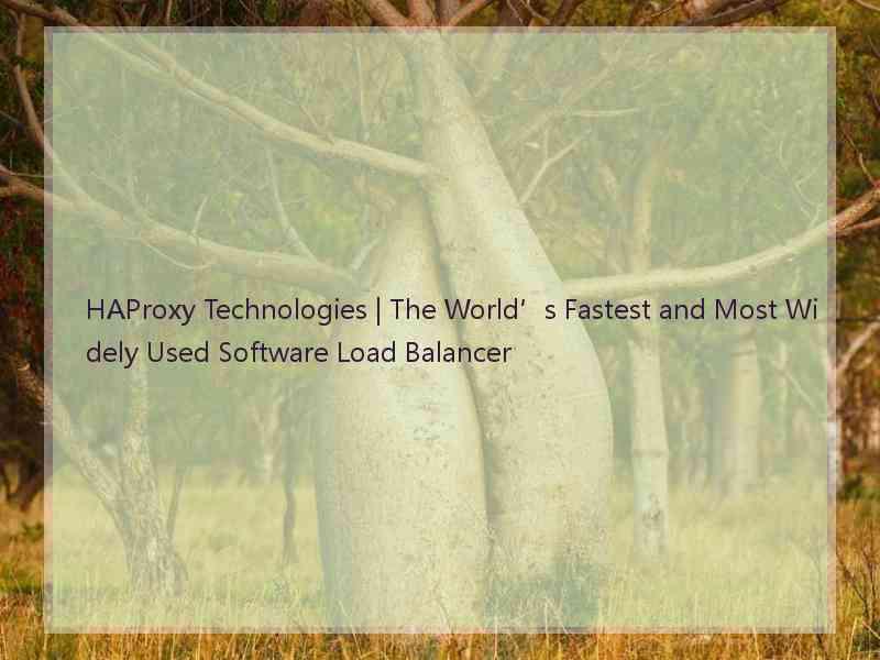 HAProxy Technologies | The World’s Fastest and Most Widely Used Software Load Balancer