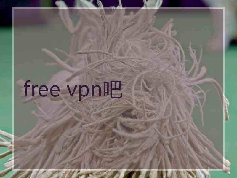 free vpn吧