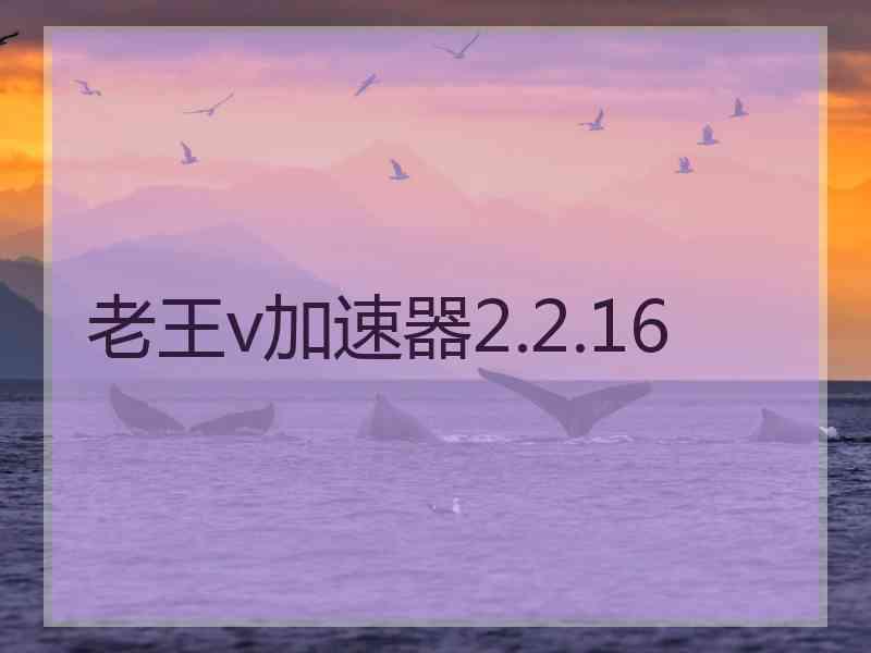 老王v加速器2.2.16