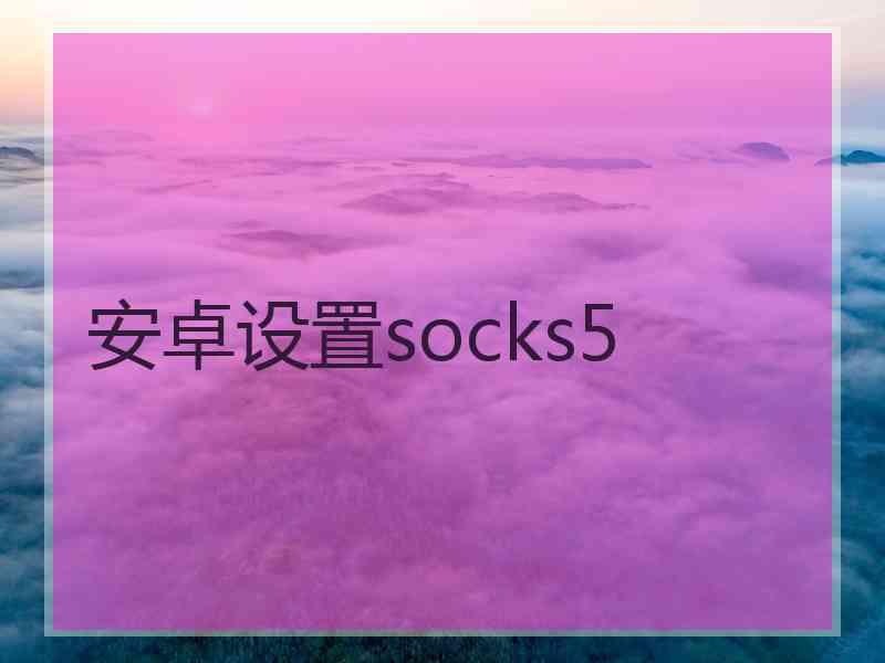 安卓设置socks5