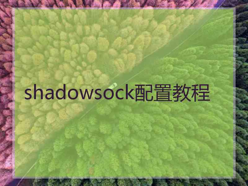 shadowsock配置教程