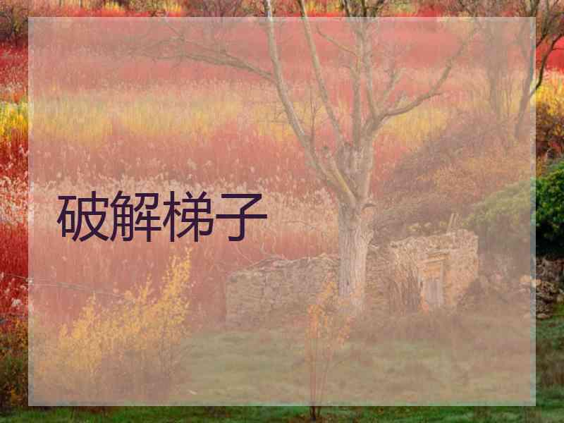 破解梯子