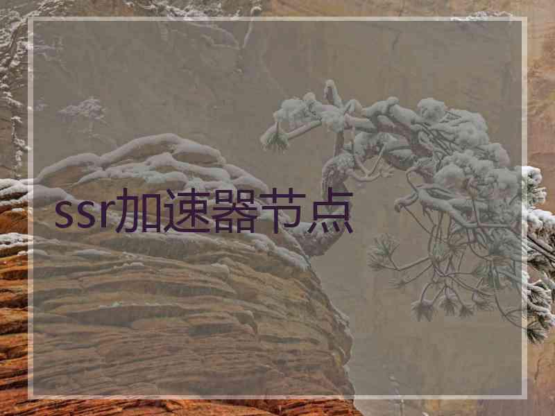 ssr加速器节点
