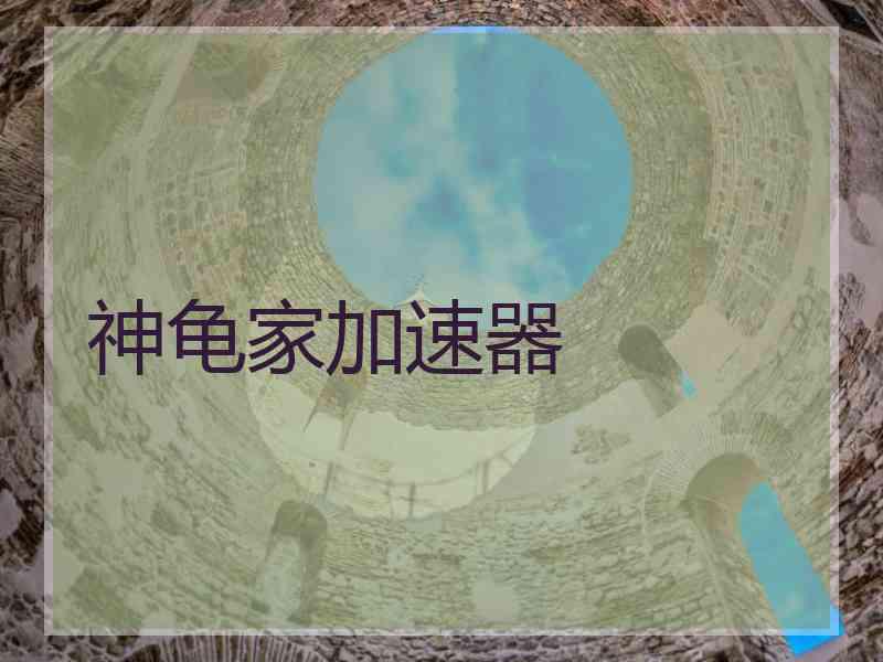 神龟家加速器