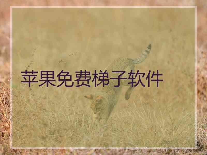 苹果免费梯子软件