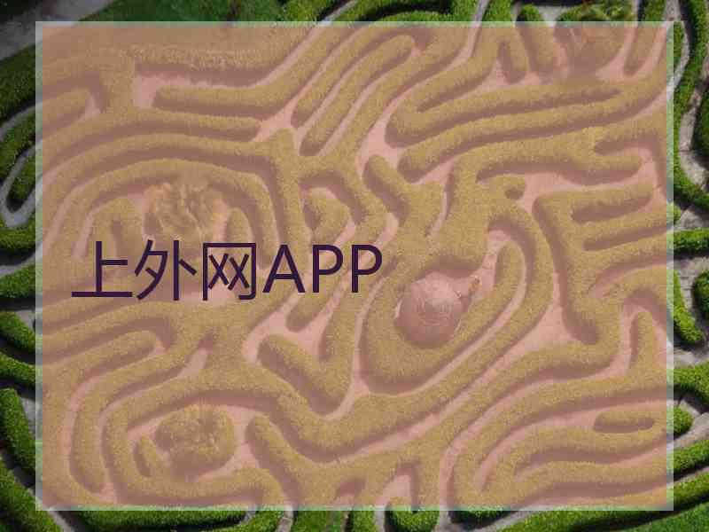上外网APP