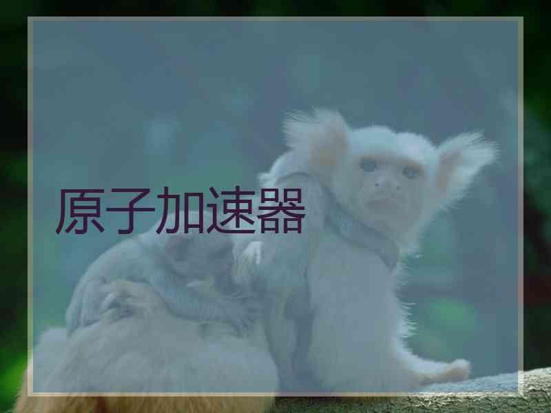 原子加速器