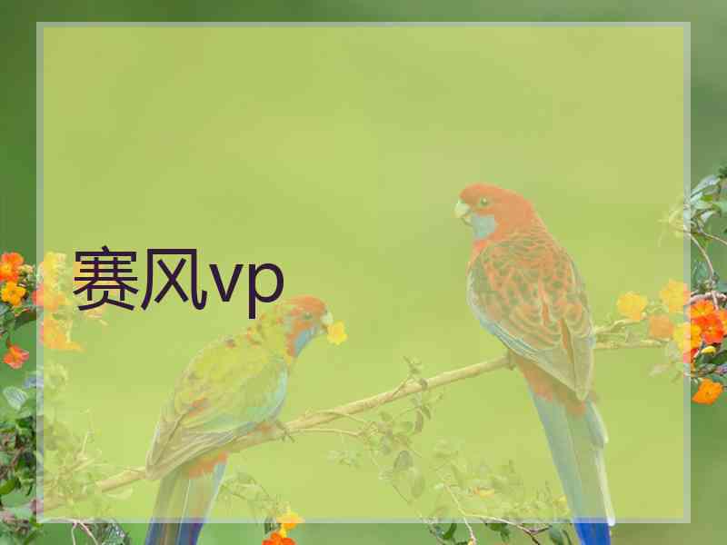 赛风vp
