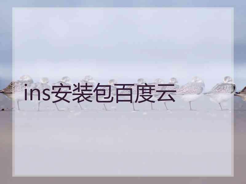 ins安装包百度云