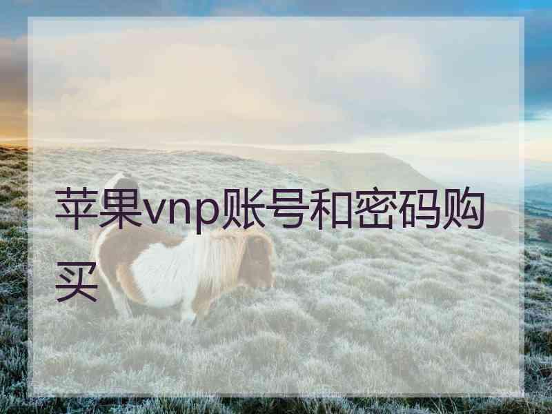 苹果vnp账号和密码购买
