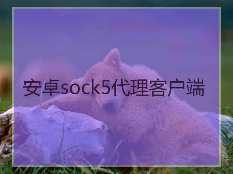 安卓sock5代理客户端