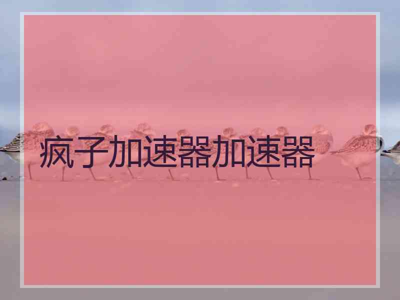 疯子加速器加速器