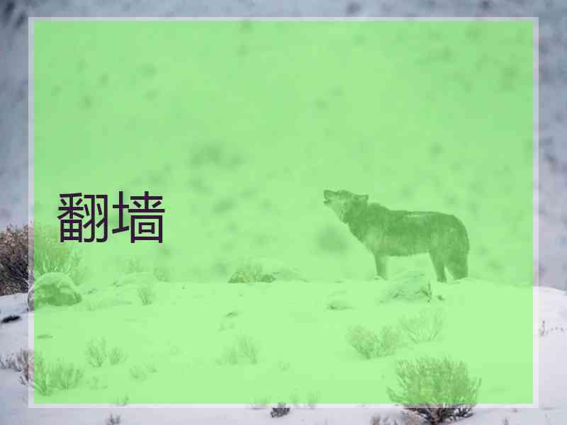翻墙