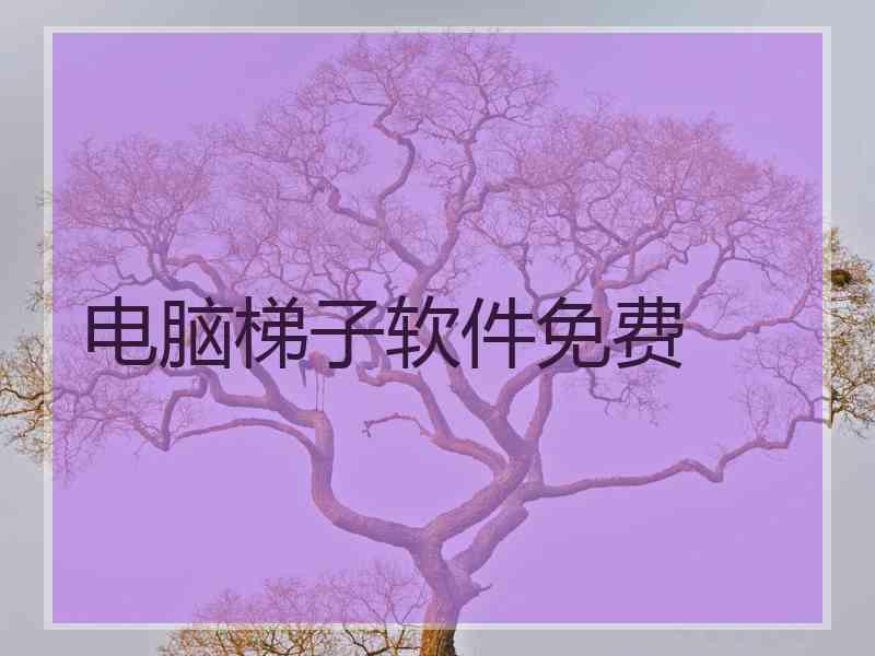 电脑梯子软件免费