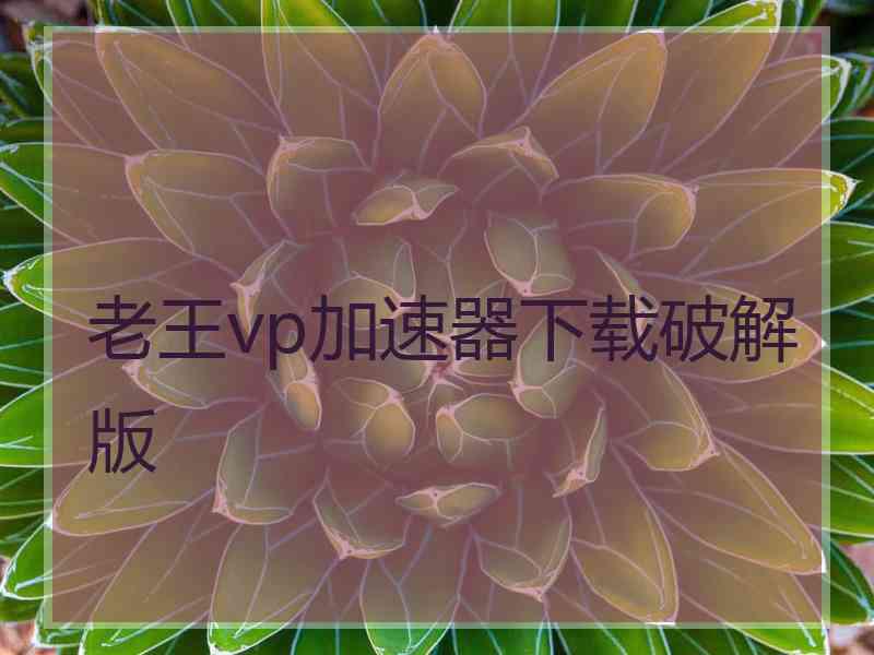 老王vp加速器下载破解版
