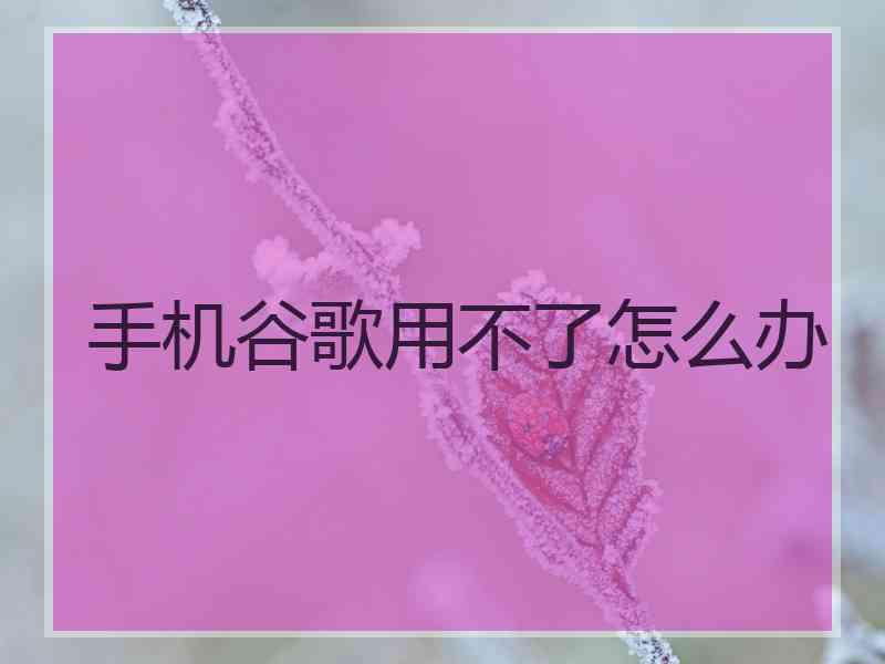 手机谷歌用不了怎么办