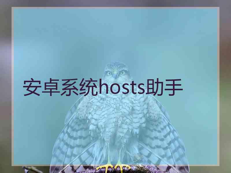 安卓系统hosts助手