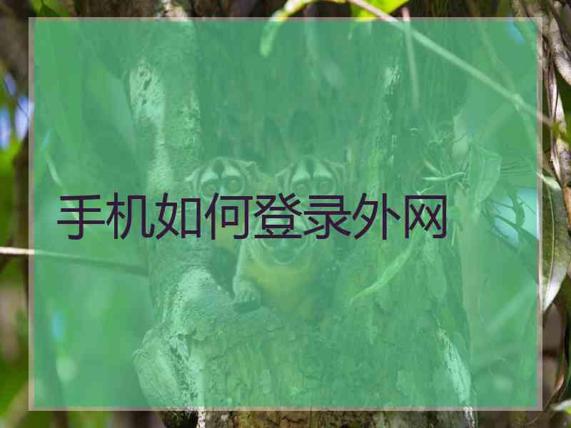 手机如何登录外网