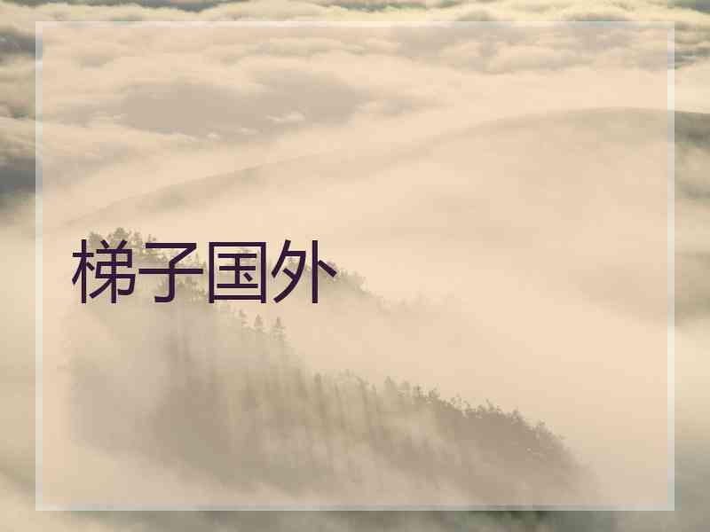 梯子国外