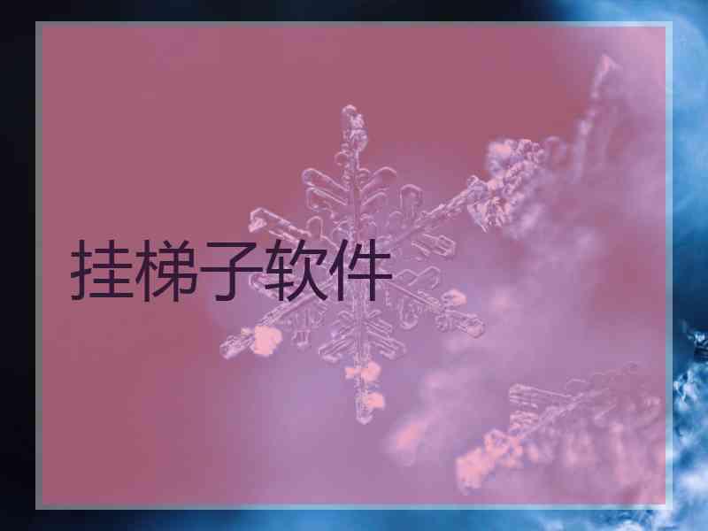 挂梯子软件