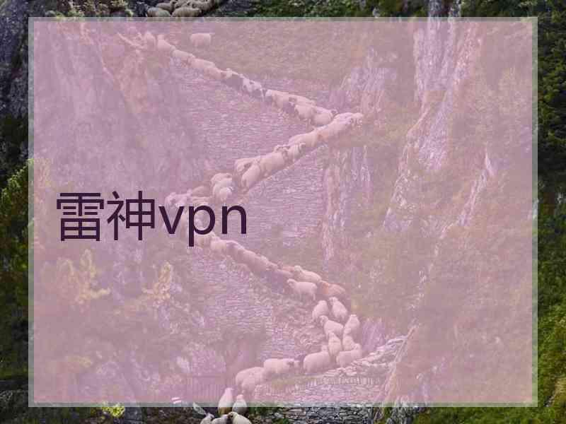 雷神vpn