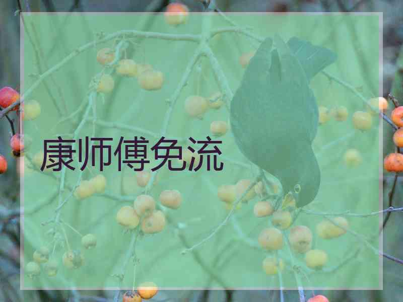 康师傅免流