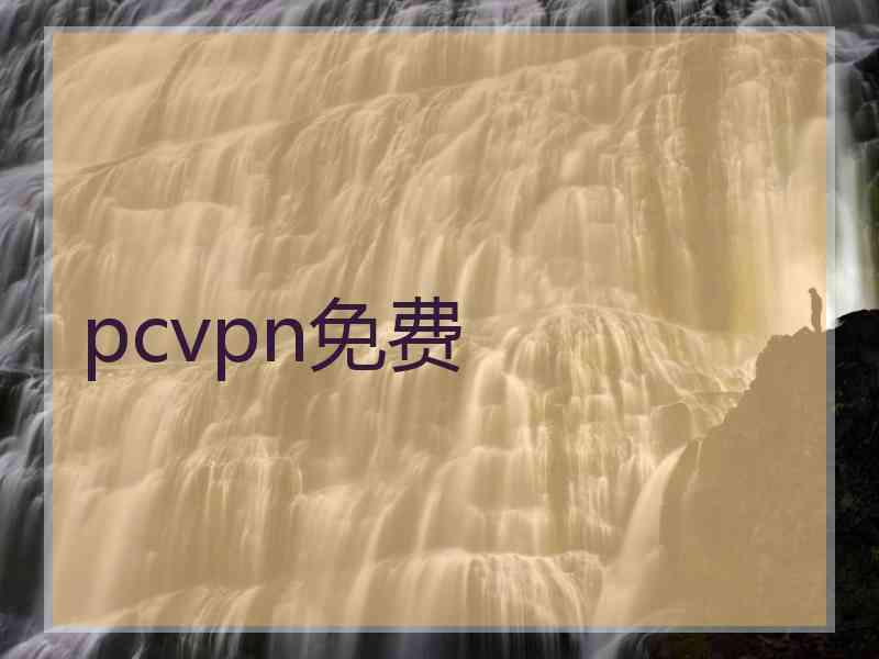 pcvpn免费