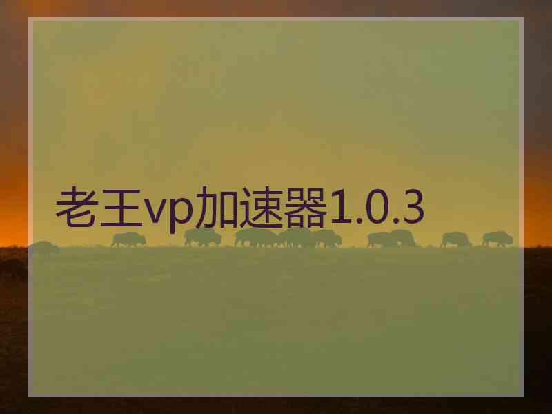 老王vp加速器1.0.3