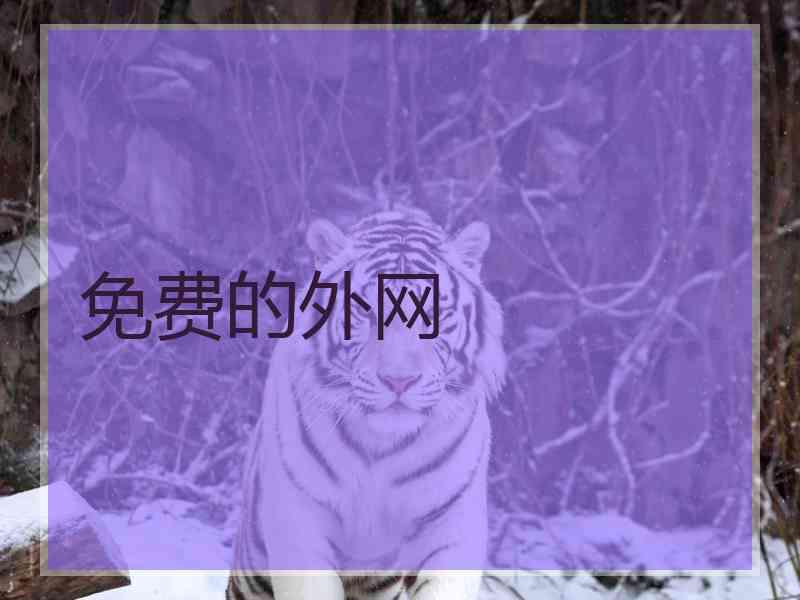 免费的外网