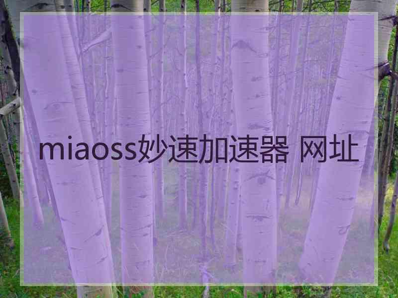 miaoss妙速加速器 网址