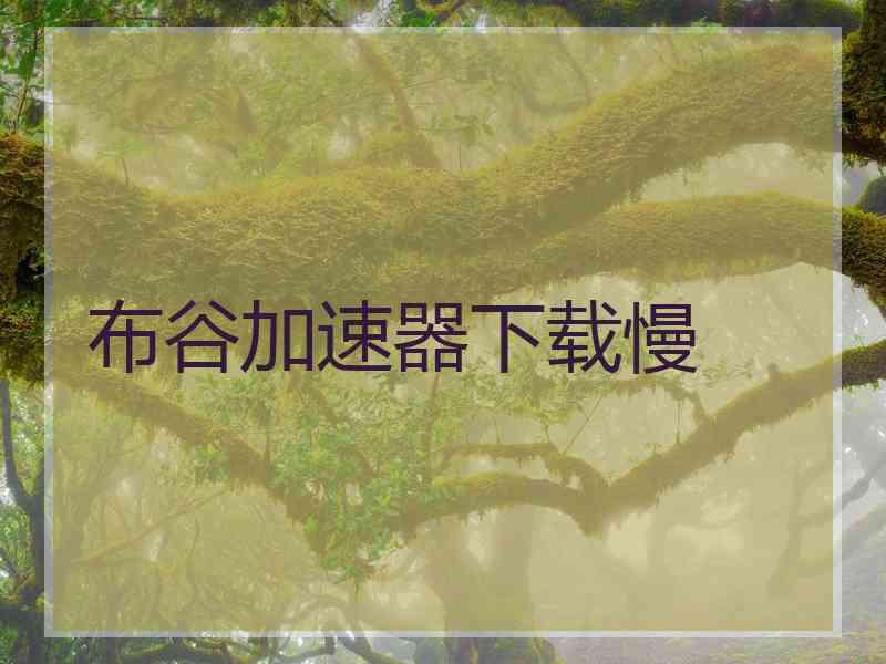 布谷加速器下载慢