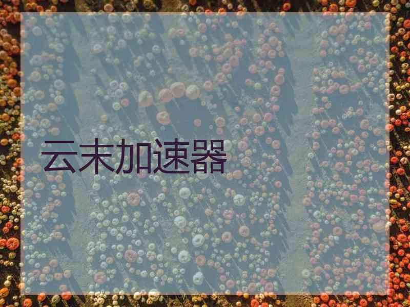 云末加速器
