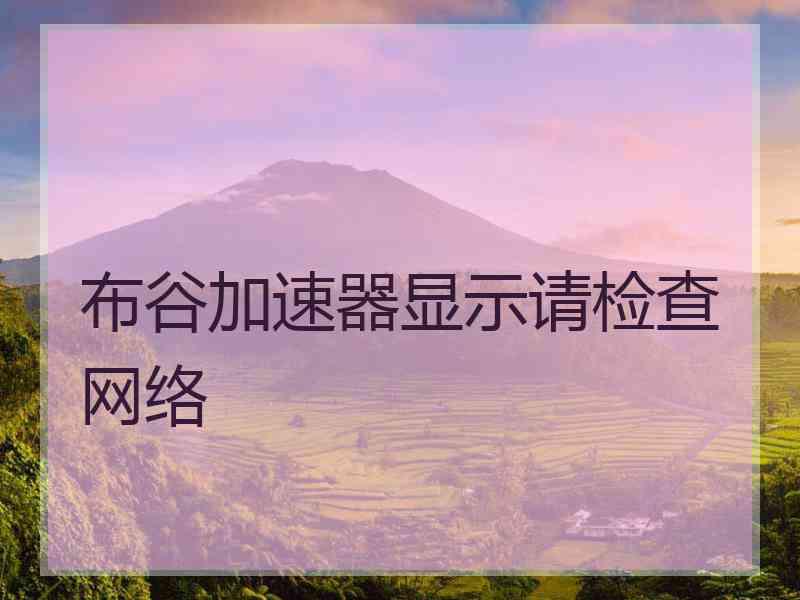 布谷加速器显示请检查网络
