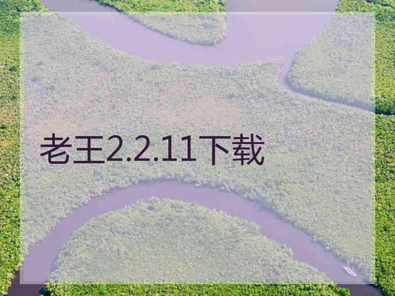 老王2.2.11下载