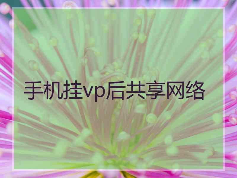 手机挂vp后共享网络