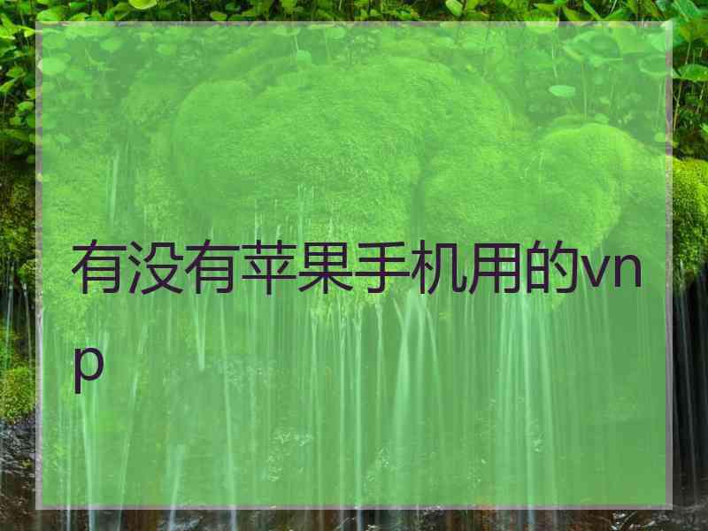 有没有苹果手机用的vnp