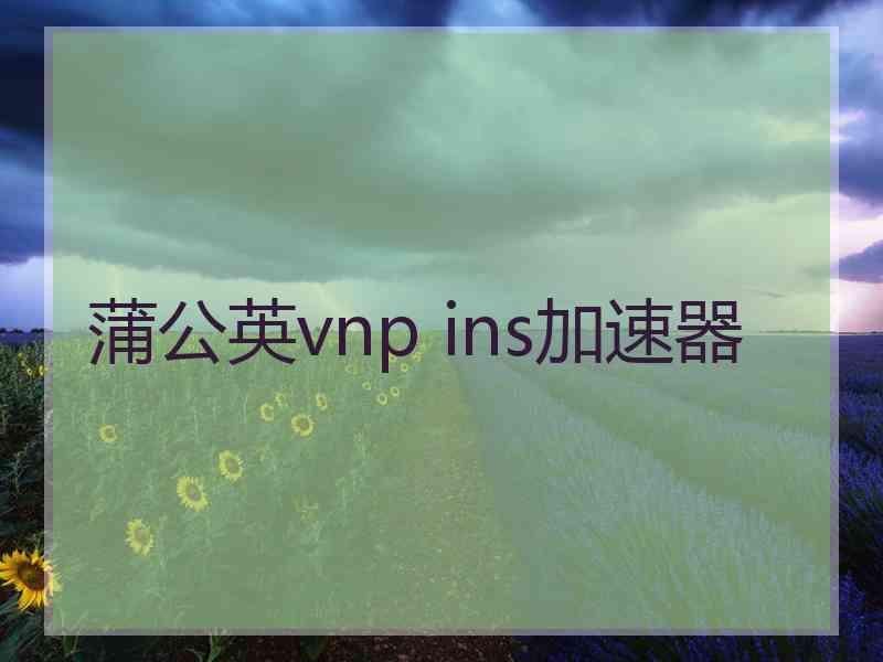 蒲公英vnp ins加速器