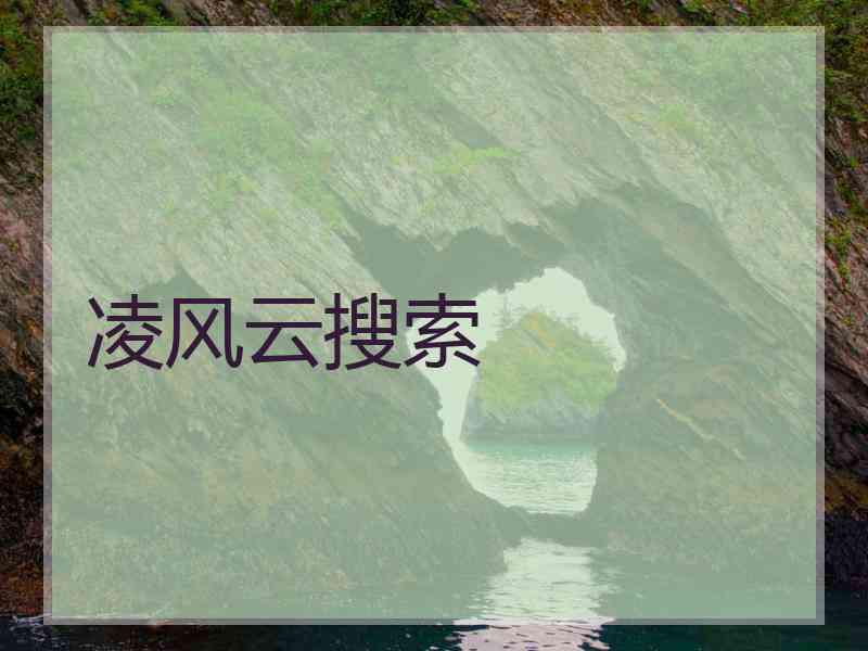 凌风云搜索