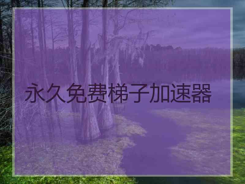 永久免费梯子加速器