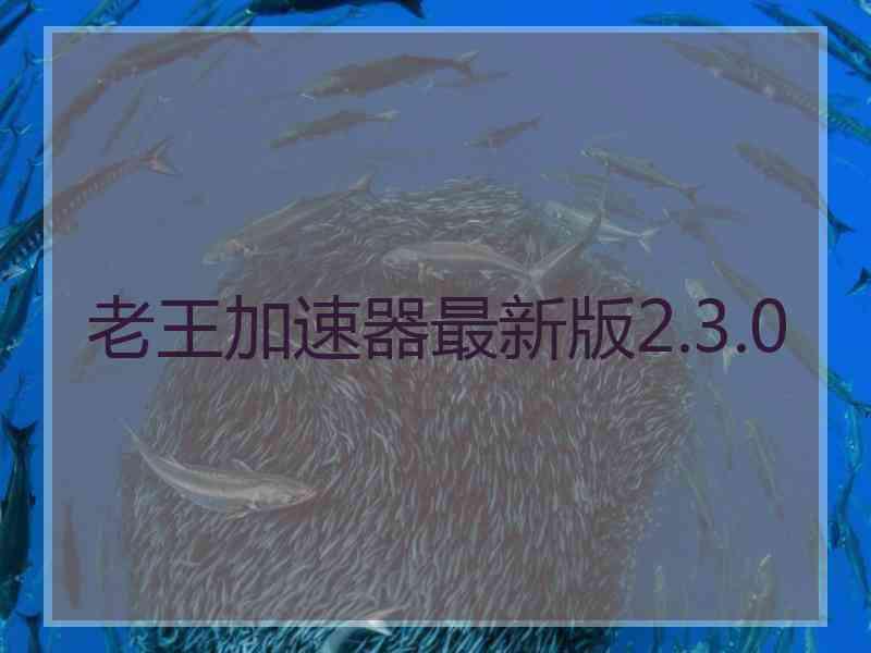 老王加速器最新版2.3.0