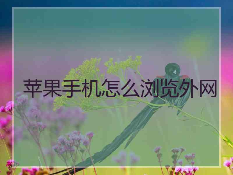苹果手机怎么浏览外网