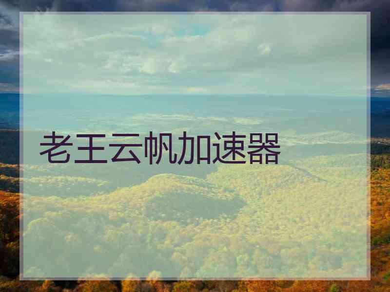 老王云帆加速器