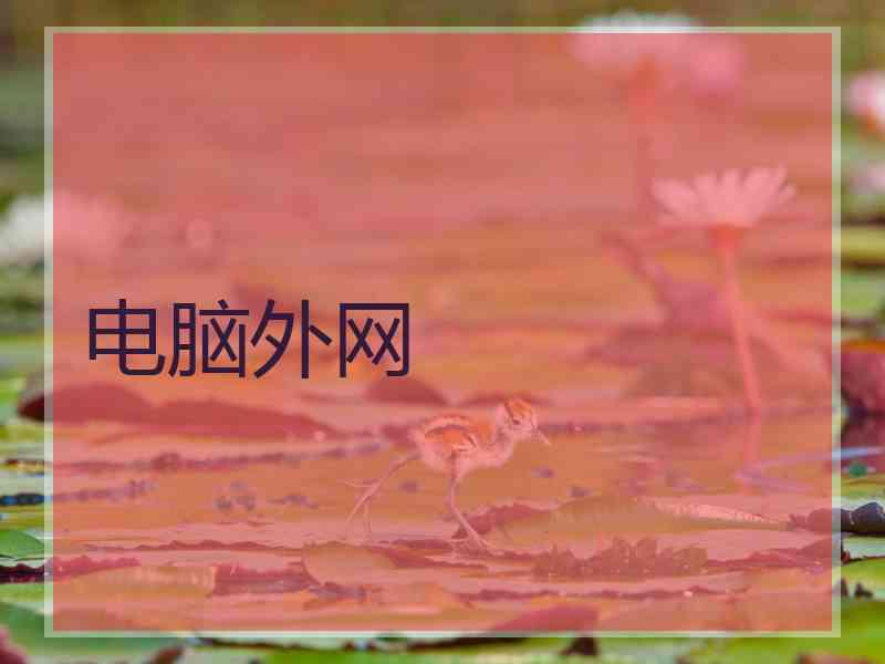 电脑外网