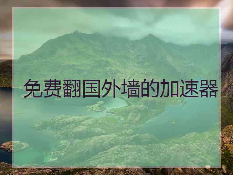 免费翻国外墙的加速器