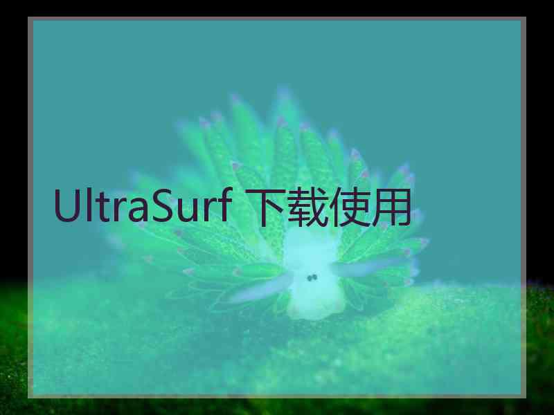 UltraSurf 下载使用