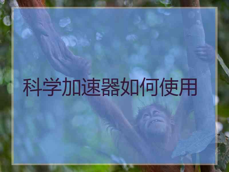 科学加速器如何使用