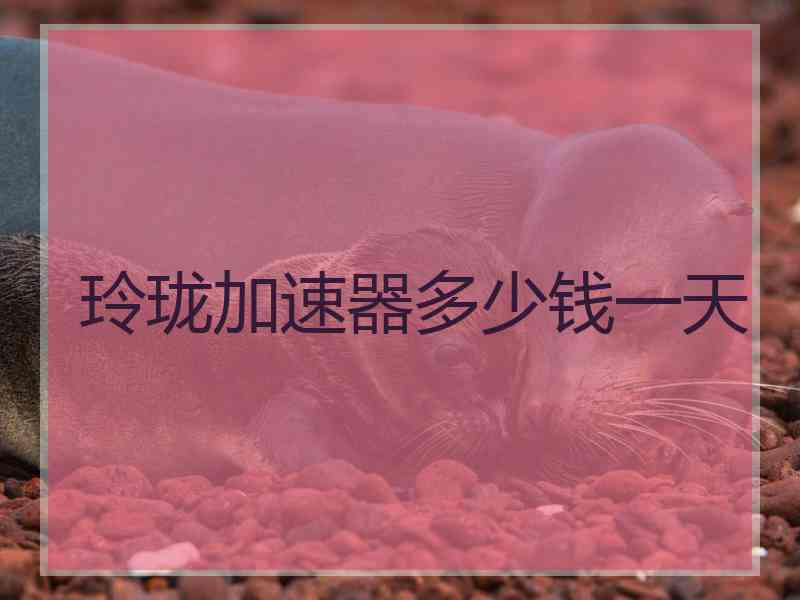 玲珑加速器多少钱一天