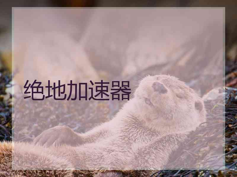 绝地加速器