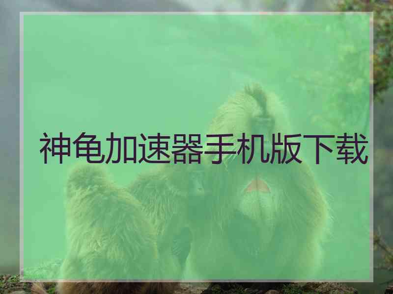神龟加速器手机版下载